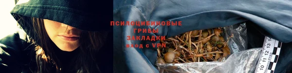 метадон Осташков